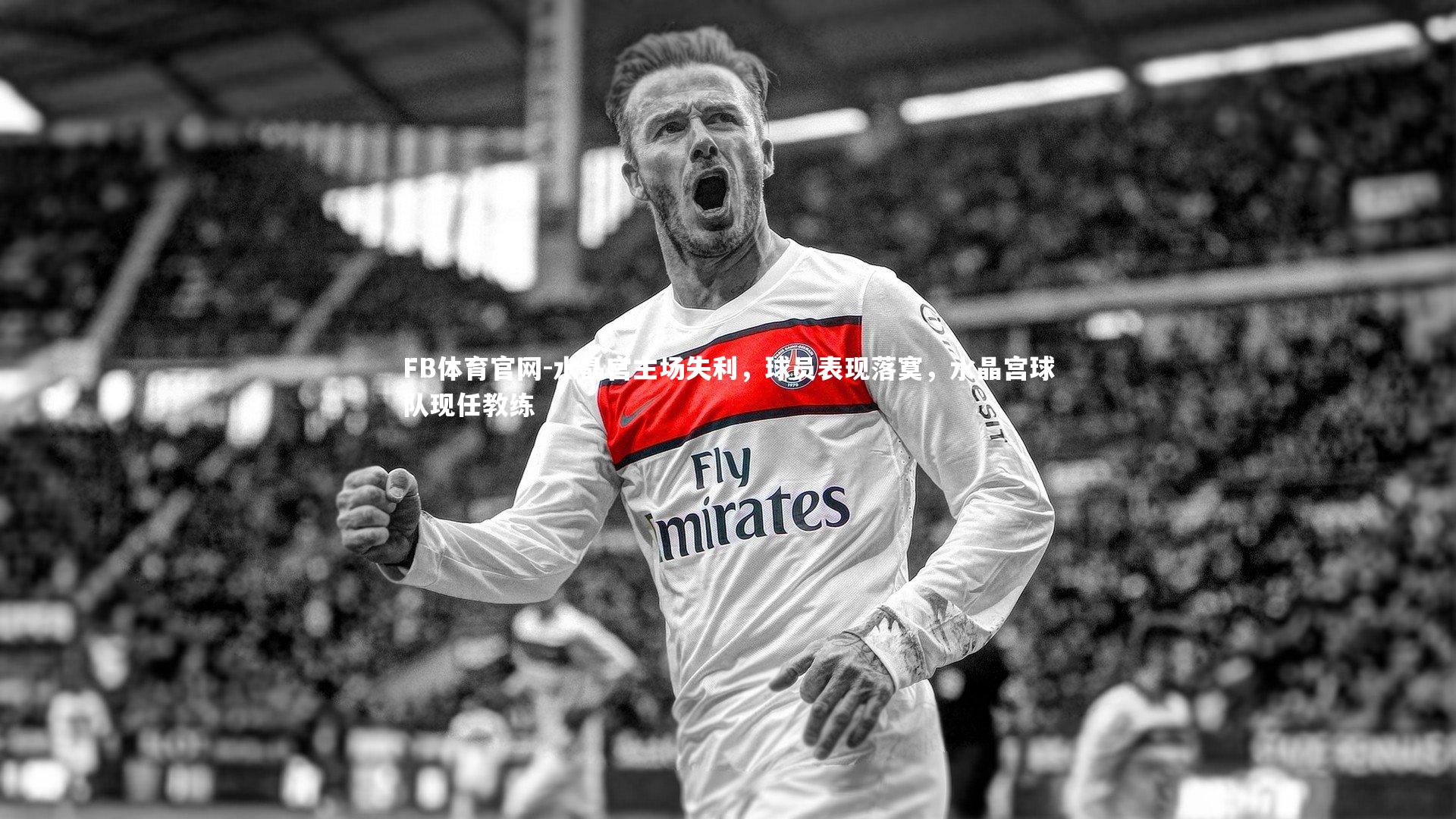 FB体育官网-水晶宫主场失利，球员表现落寞，水晶宫球队现任教练