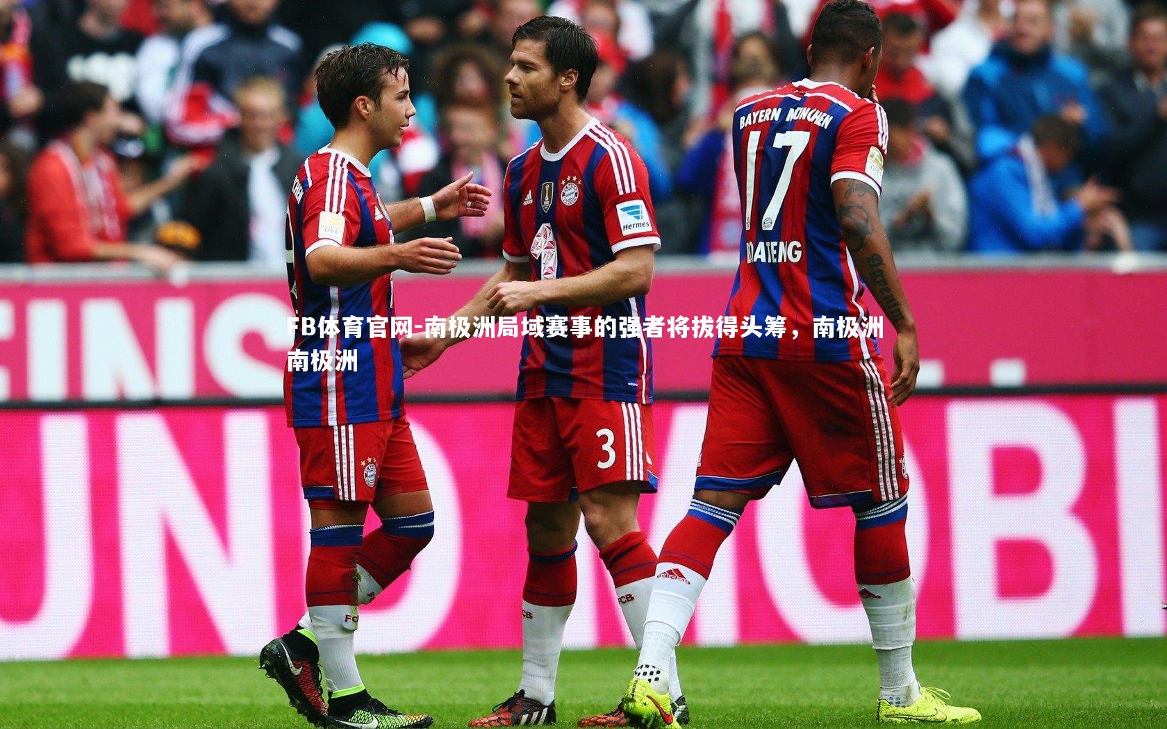 南极洲局域赛事的强者将拔得头筹，南极洲南极洲