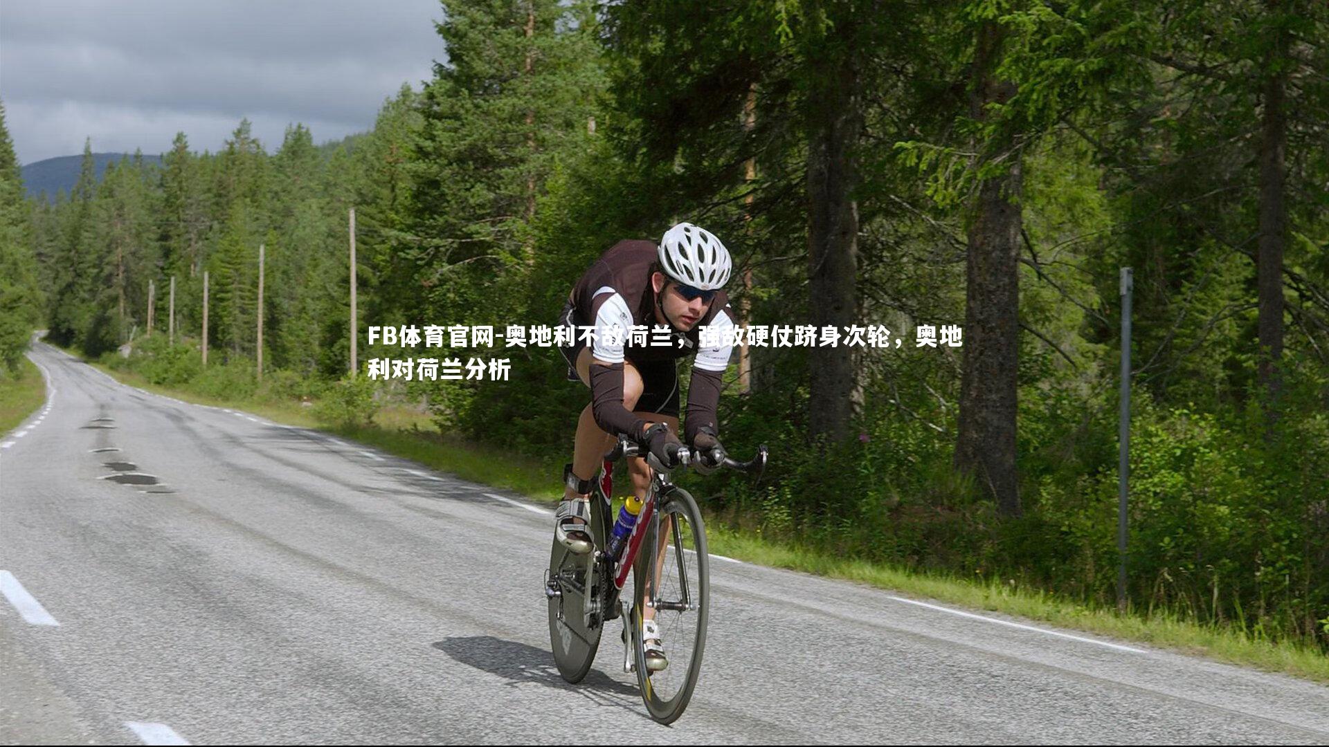 奥地利不敌荷兰，强敌硬仗跻身次轮，奥地利对荷兰分析