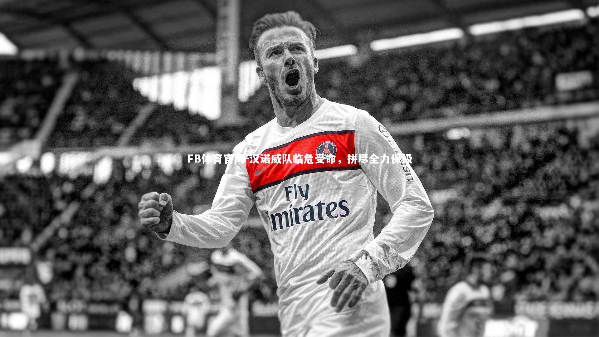 汉诺威队临危受命，拼尽全力保级